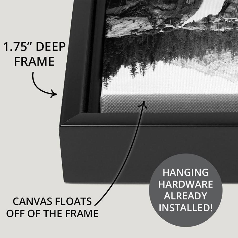 Black Float Frame Canvas Art Q769