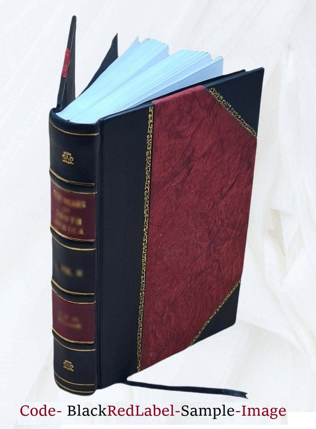 Swahili tales with English translation G22462